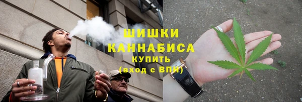 хмурый Нея