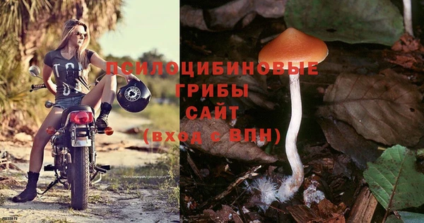 ГАЛЛЮЦИНОГЕННЫЕ ГРИБЫ Надым
