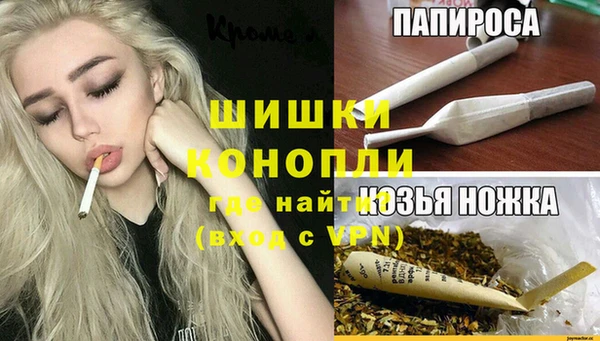 spice Михайлов