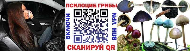 Псилоцибиновые грибы Psilocybine cubensis  KRAKEN зеркало  Лихославль 